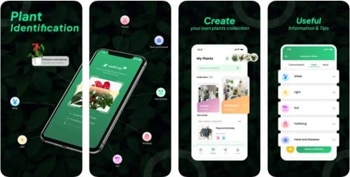 Best gardening apps LeafSnap-Plant Identification