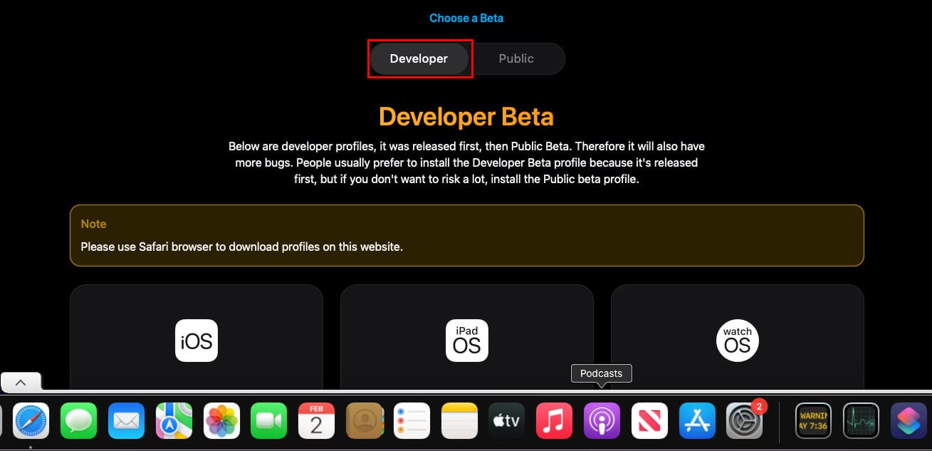 Beta Profiles website UI