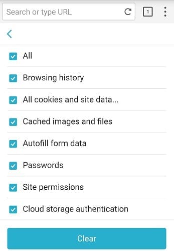 clear cache puffin browser