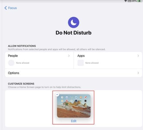 Customize Screen options for DND on iPad