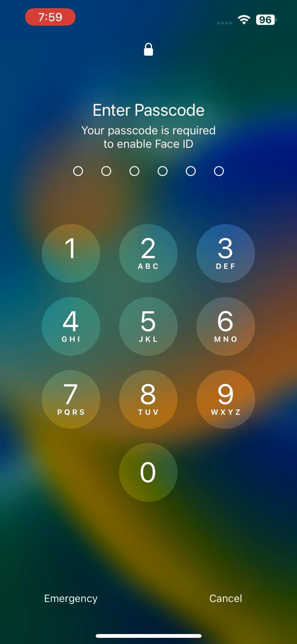 Enter password screen