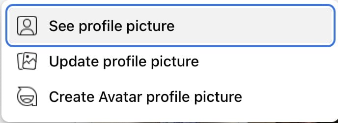 The option to change view your Facebook profile picture