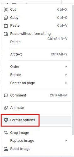 Format options Google Slides