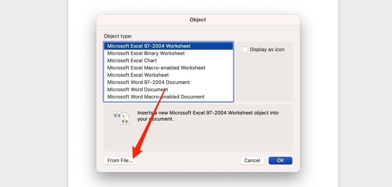 The From File Option in Microsoft Word