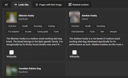 Looks Like Search Edge Browser