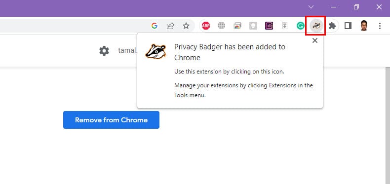 Privacy Badger Chrome Extension added successfully