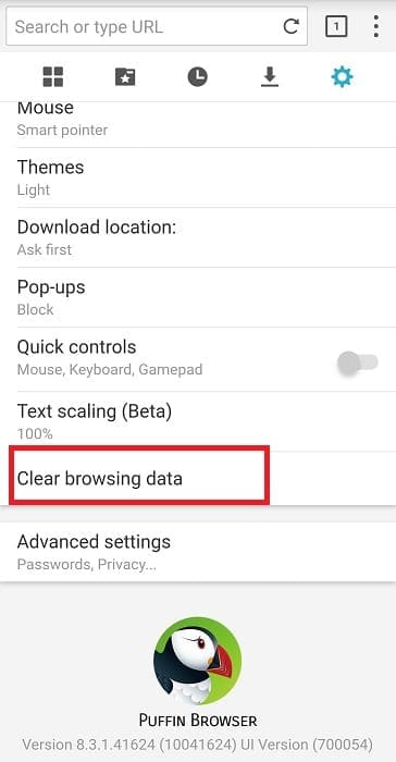 puffin browser clear browsing data