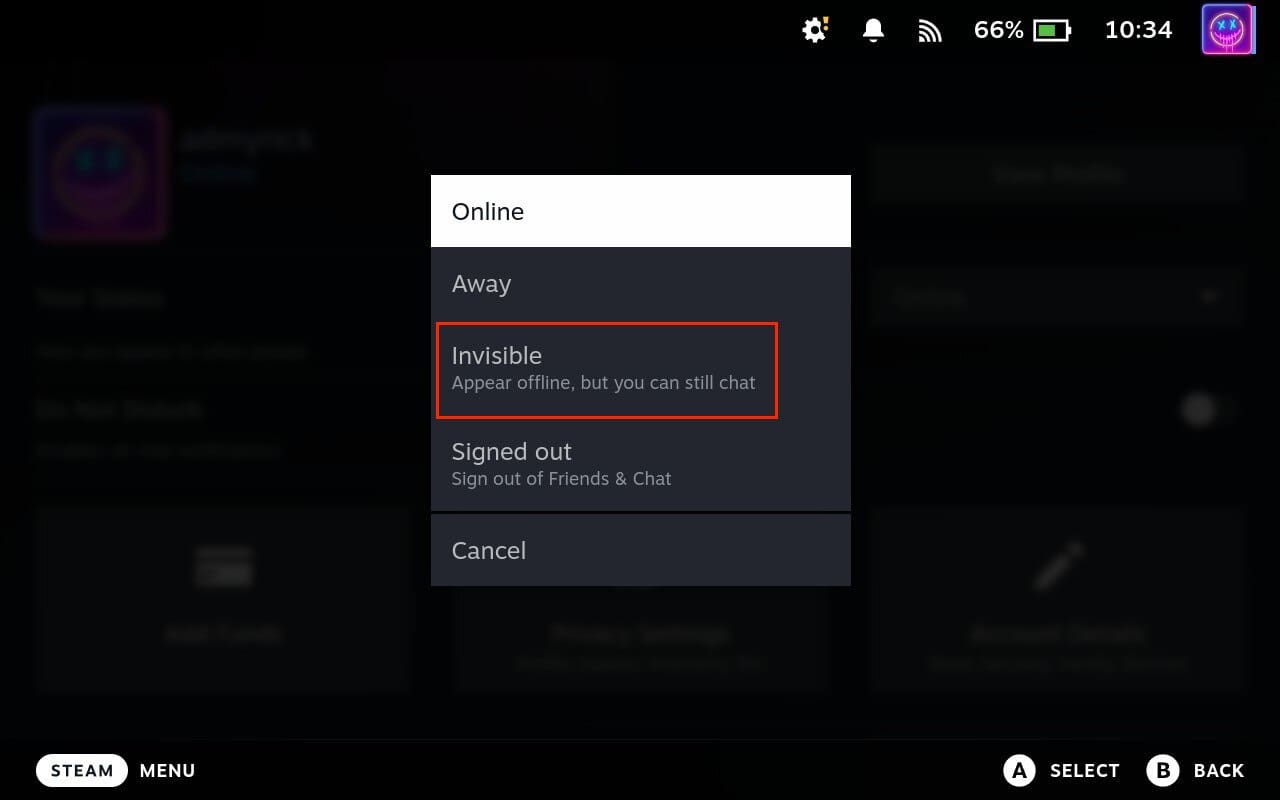 Show as invisible on Steam Deck 1