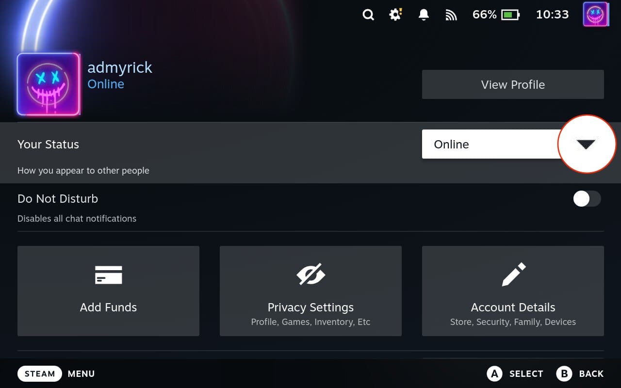 Show as invisible on Steam Deck 2