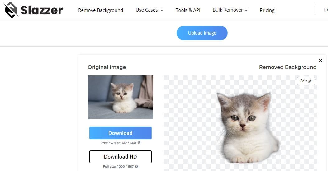 Remove background Slazzer