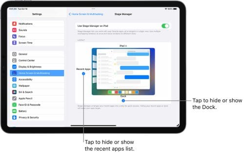 Stage Manager iPad disable enable dock and recent apps