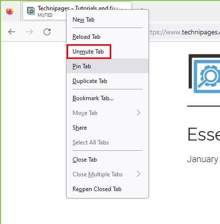 Unmute tab Firefox