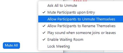 Zoom allow unmute