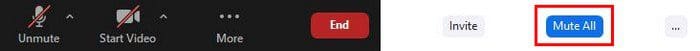 Mute all Zoom