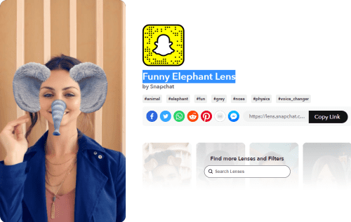 Funny Elephant Lens