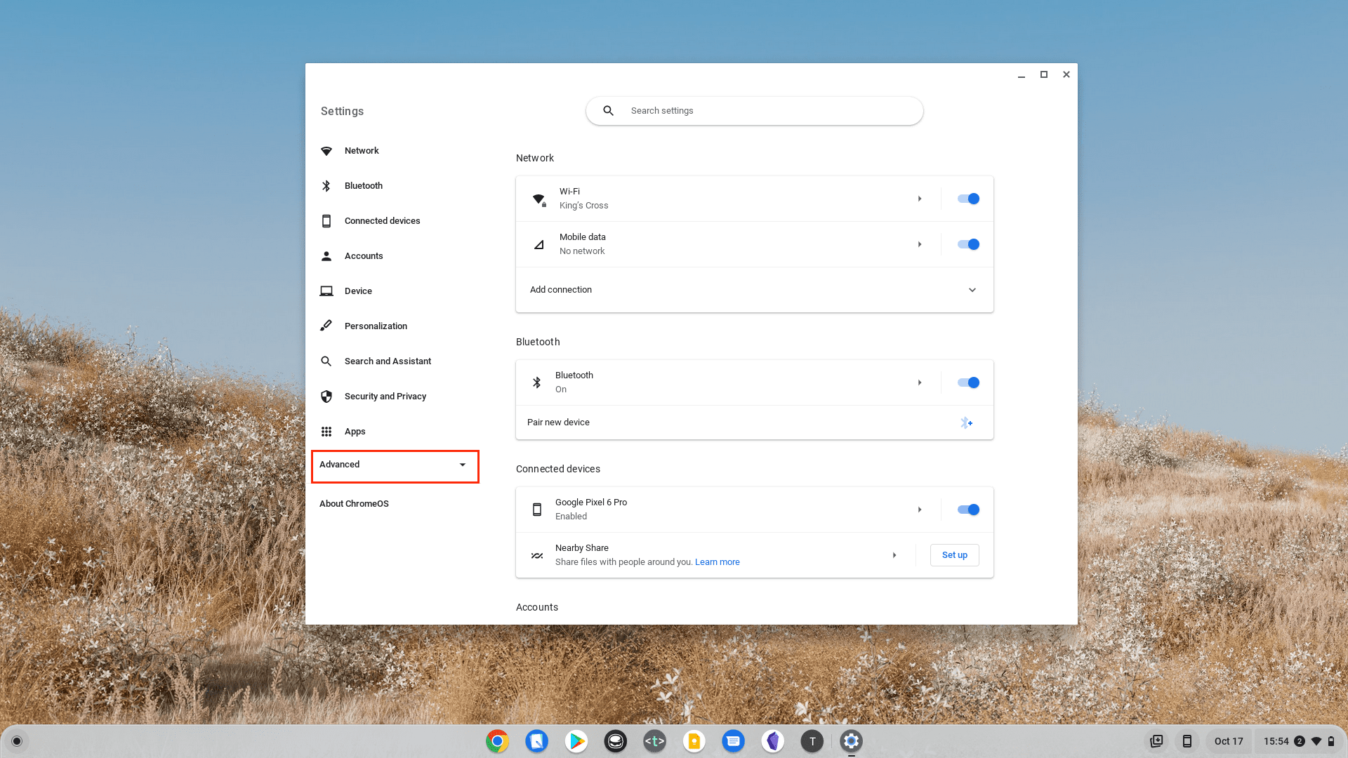 How to Set Up Linux on Chromebook - 1