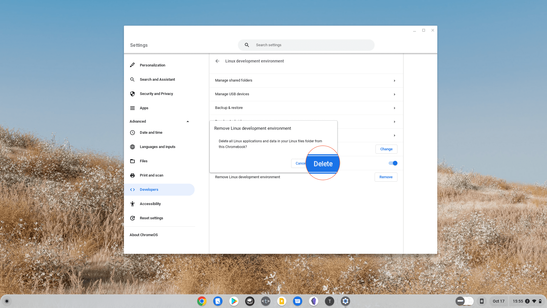 How to Set Up Linux on Chromebook - 4