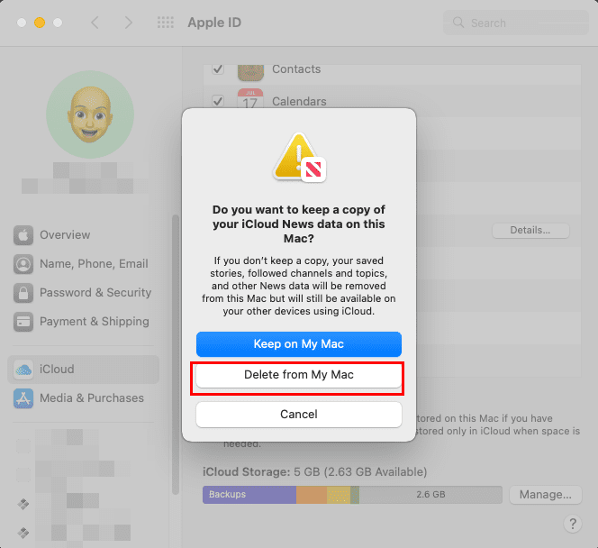 Learn How to delete apps from iCloud using Mac