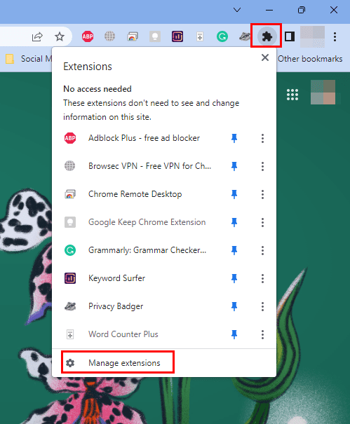 Manage extensions