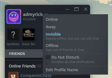 Show as offline on Steam Windows 2