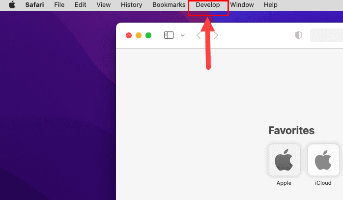 The Develop menu on Mac toolbar