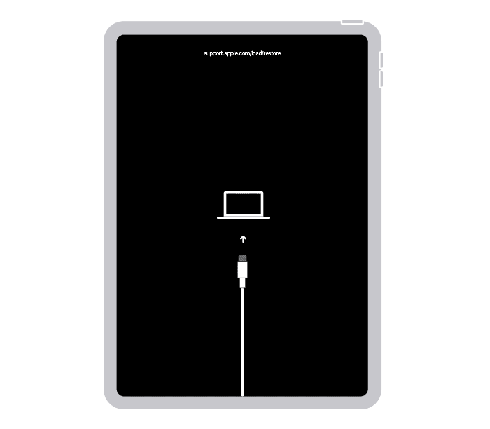 The recovery mode screen on iPad (Photo Courtesy of Apple)