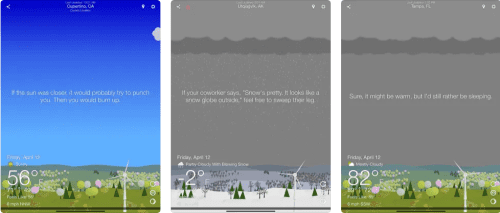 What The Forecast