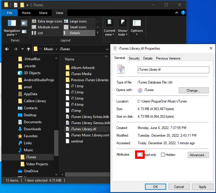 iTunes Library itl file Read Only Check Box